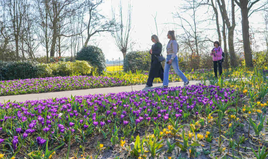 Het is lente: Keukenhof is weer open en dat is goed voor het brein