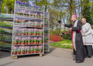 Gezegende bloemen vanaf Keukenhof onderweg naar Sint-Pietersplein