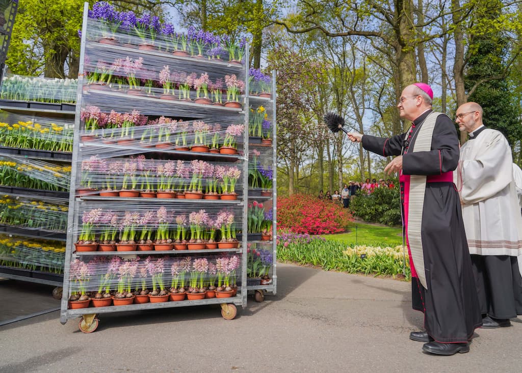Gezegende bloemen vanaf Keukenhof onderweg naar Sint-Pietersplein