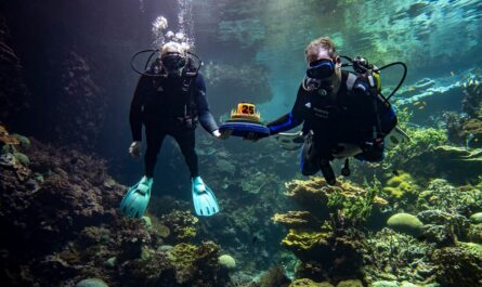 ocean burgers zoo 25 jaar