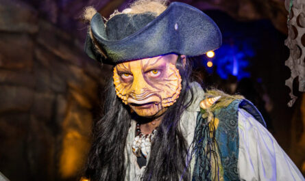 toverland zoekt halloween acteurs