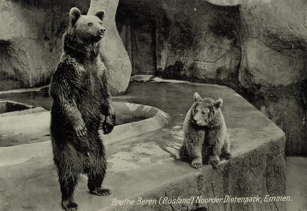 viering zoo emmen 90 jaar