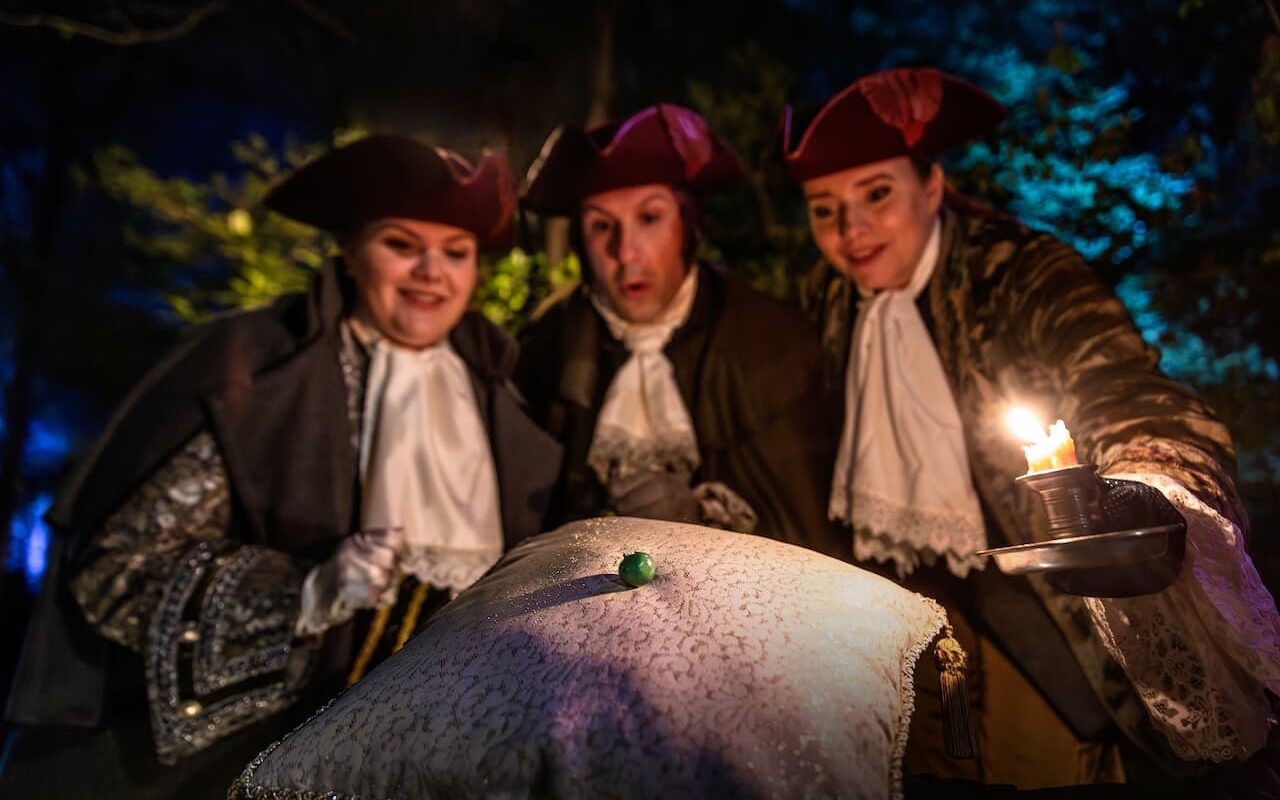 efteling prinses op de erwt