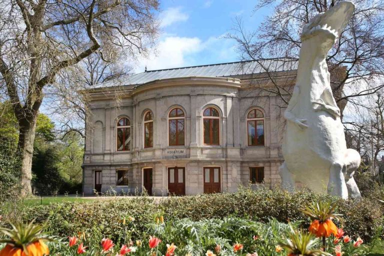 Historische restauratie ARTIS-Aquarium afgerond: heropening gepland in 2026