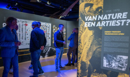 Expositie Zoo Emmen 90 jaar in WILDLANDS geopend