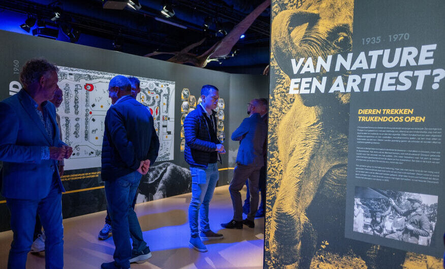 Zoo Emmen viert 90 jaar: jubileumtentoonstelling en festiviteiten
