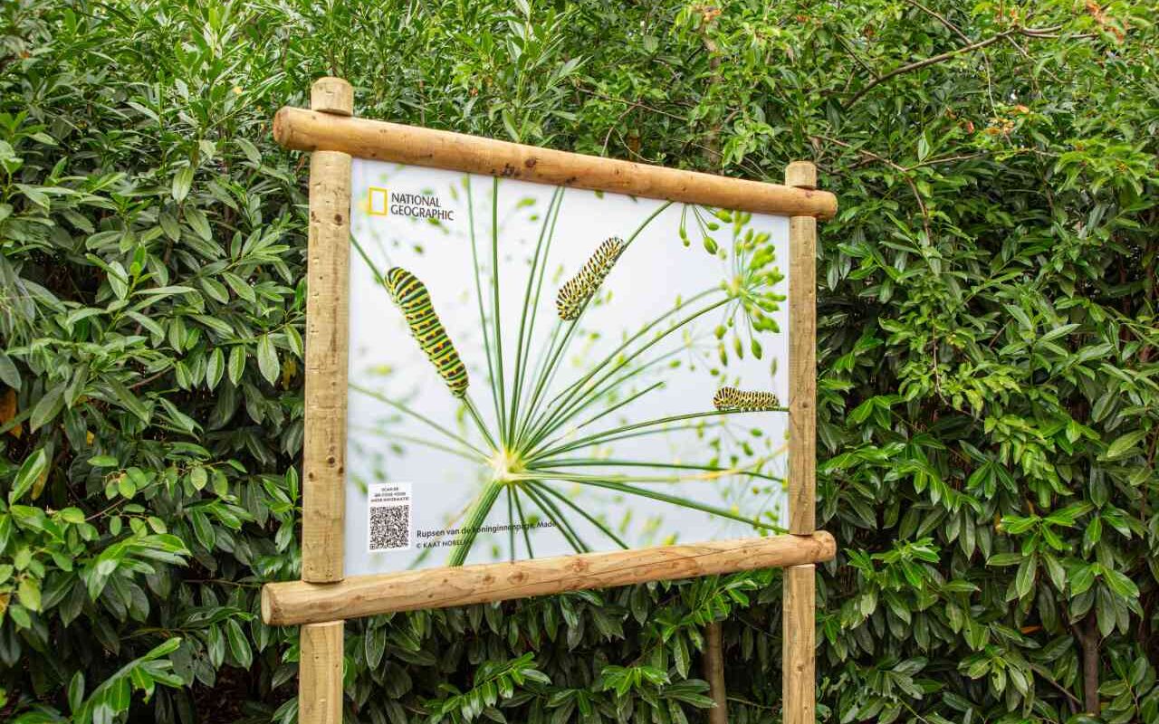 Ouwehands Dierenpark verrast met foto expositie in samenwerking met National Geographic
