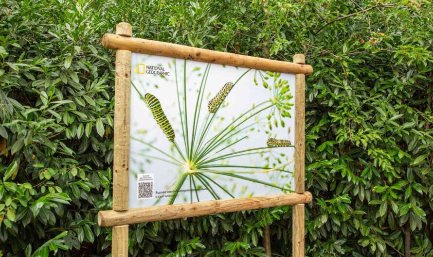 Ouwehands Dierenpark verrast met foto expositie in samenwerking met National Geographic