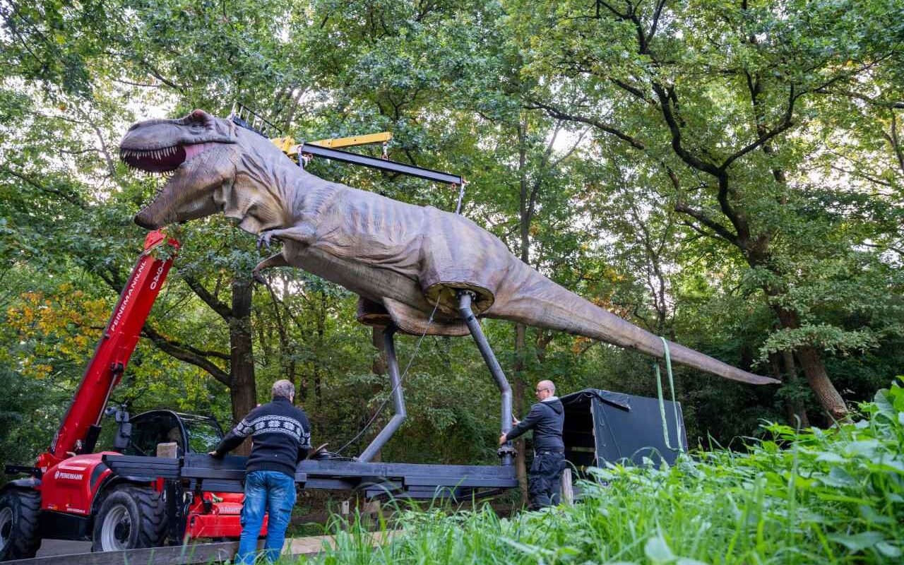Burgers’ Zoo bereidt zich voor op ‘Dino’s in de Zoo’ met reusachtige dinosaurussen Burgers’ Zoo bereidt zich voor op ‘Dino’s in de Zoo’ met reusachtige dinosaurussen