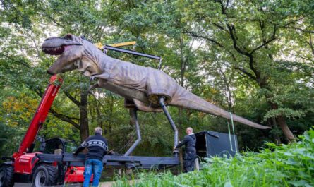 Burgers’ Zoo bereidt zich voor op ‘Dino’s in de Zoo’ met reusachtige dinosaurussen