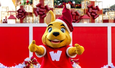 Walibi Winter 2025: magische feestdagen veroveren het park