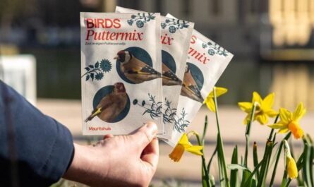 Samenwerking Mauritshuis en Vogelbescherming voor tentoonstelling BIRDS