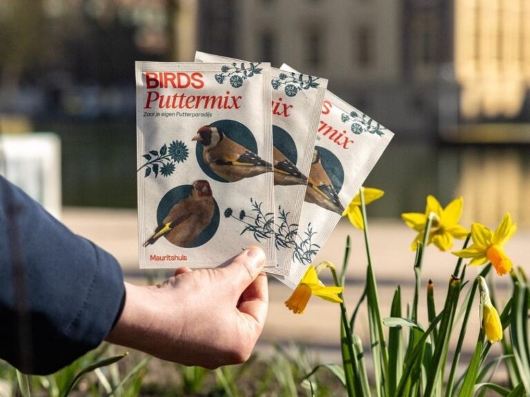 Samenwerking Mauritshuis en Vogelbescherming voor tentoonstelling BIRDS